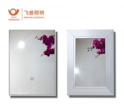 57125-帶壓條雙面鏡門